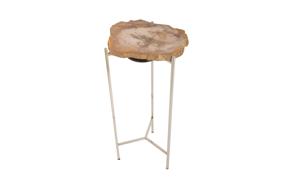 Petrified Wood Side Table By Phillips Collection Furnitureland South The World S Largest Furniture Petrified Wood Side Table By Phillips, Phillips Collection Petrified Wood Side Table