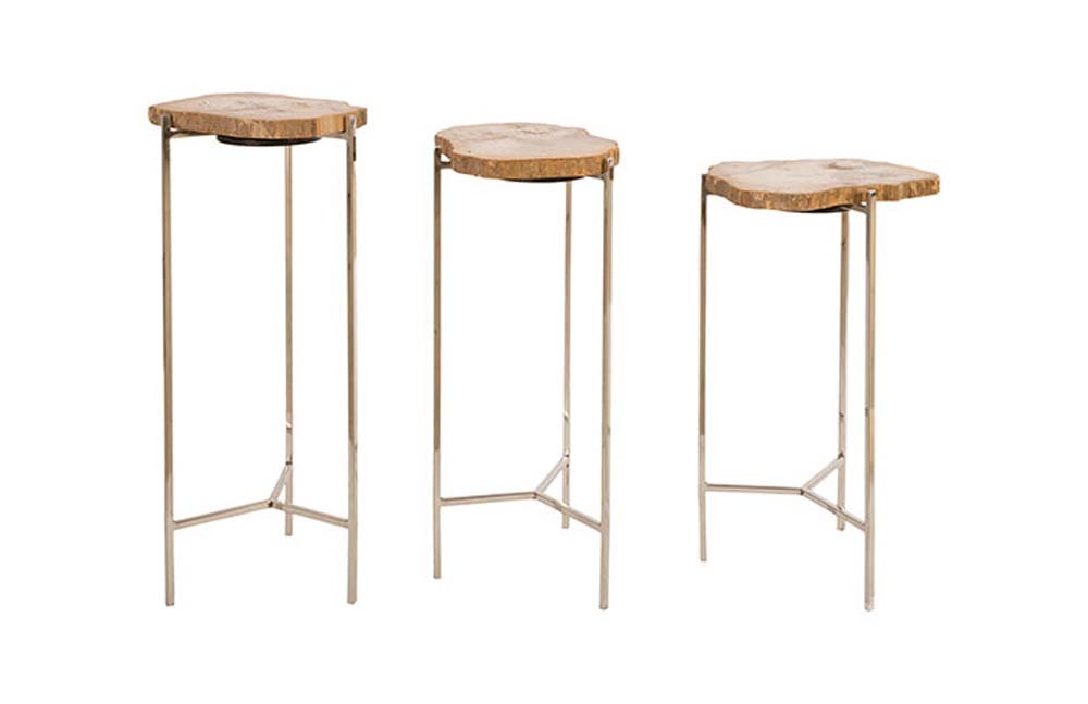 Petrified Wood Side Table By Phillips Collection Furnitureland South The World S Largest Furniture - Phillips Collection Petrified Wood Side Table Petrified Wood Side Table By Phillips Collection Furnitureland South The World S Largest Furniture - Phillips Collection Petrified Wood Side Table