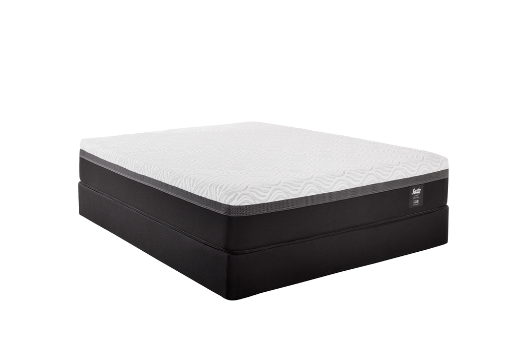Trust II Mattress with Low Profile Box Spring by Sealy Mattress
